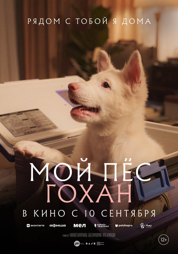 Смотреть Мой пёс Гохан онлайн бесплатно в HD качестве на русском языке